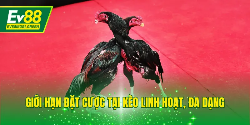 Giới hạn đặt cược tại kèo linh hoạt, đa dạng