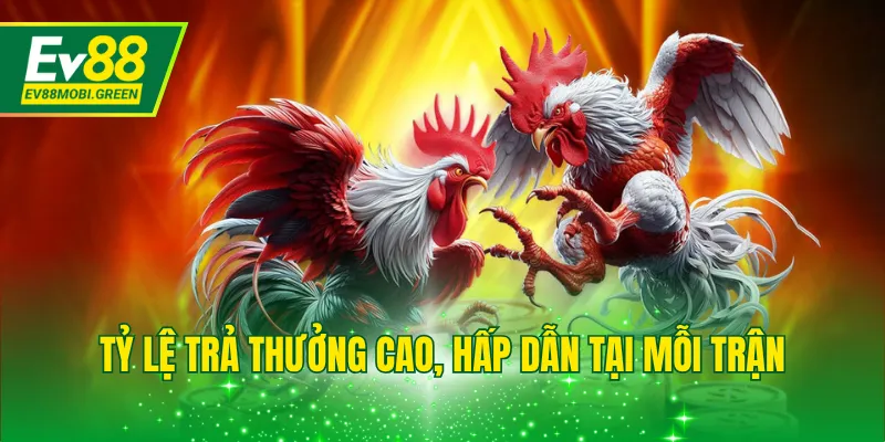 Tỷ lệ trả thưởng cao, hấp dẫn tại mỗi trận